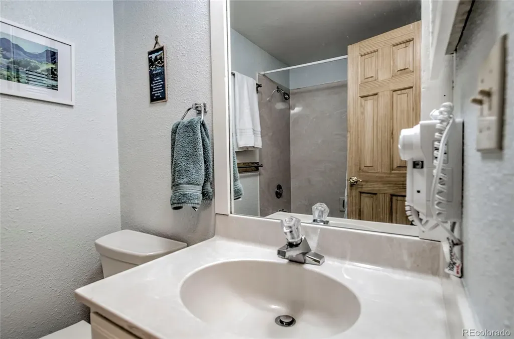 187 N Fuller Placer Road Breckenridge CO 80424