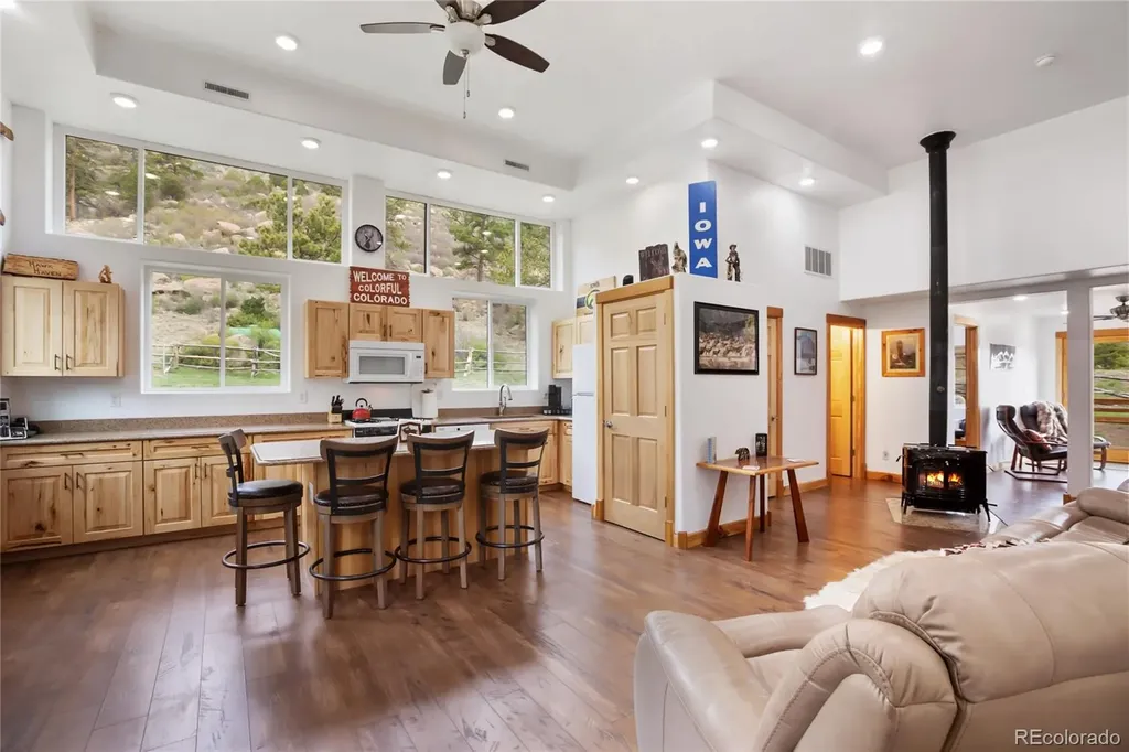 437 Langnis Road Guffey CO 80820