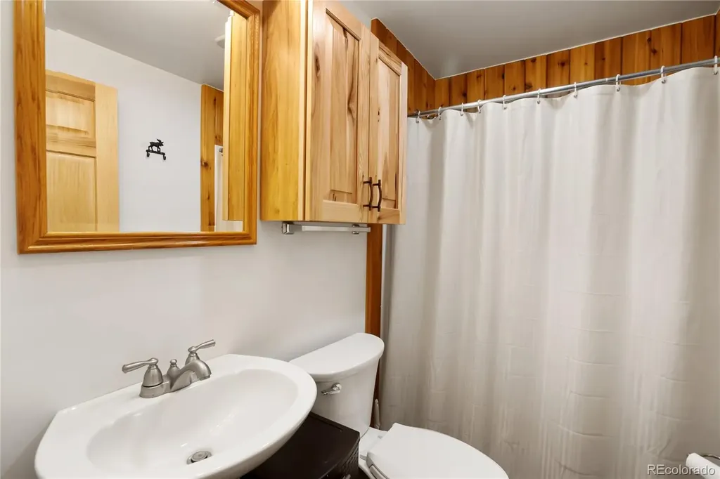 437 Langnis Road Guffey CO 80820