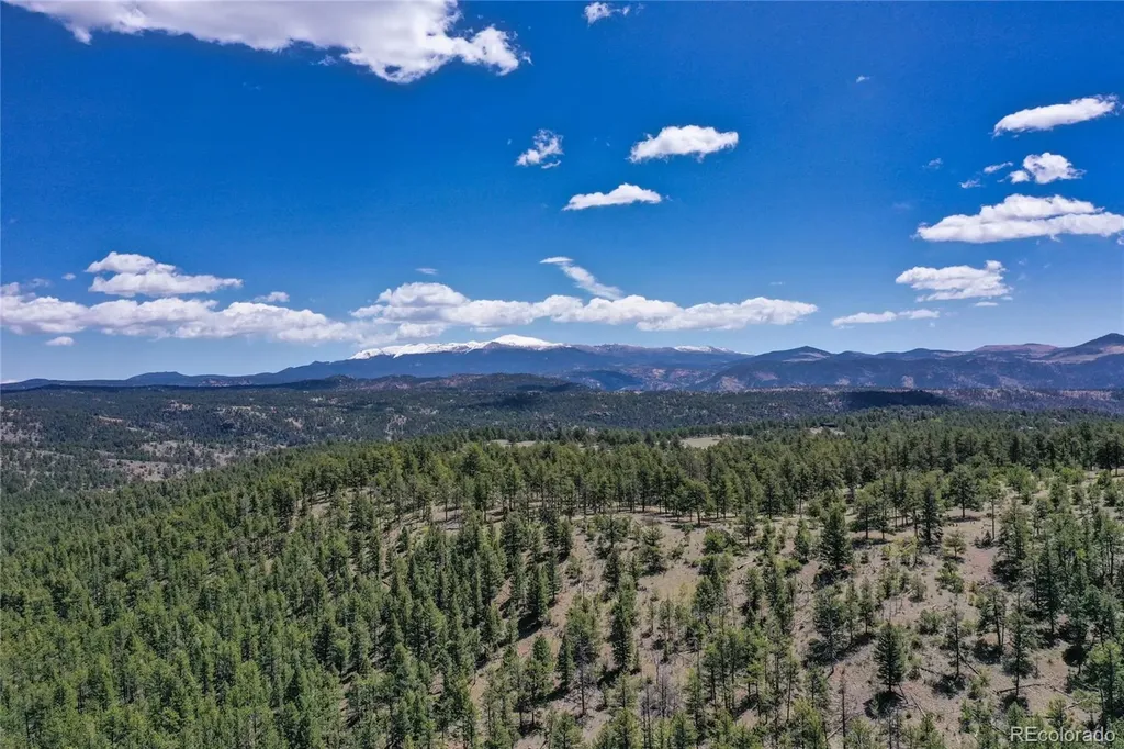 437 Langnis Road Guffey CO 80820