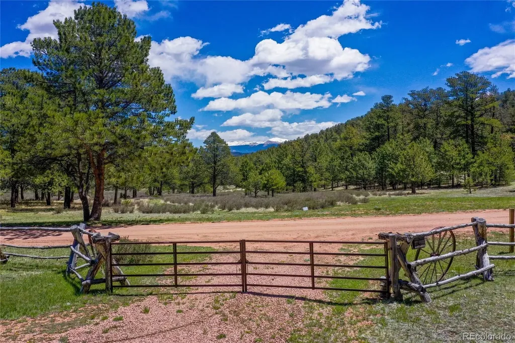 437 Langnis Road Guffey CO 80820