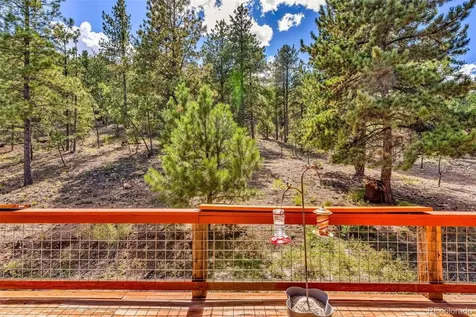 860 Texas Creek Lane Cotopaxi CO 81223