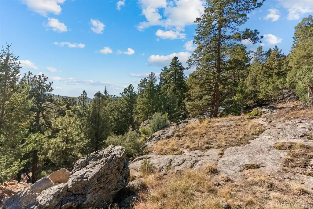 7153 Silverhorn Drive Evergreen CO 80439