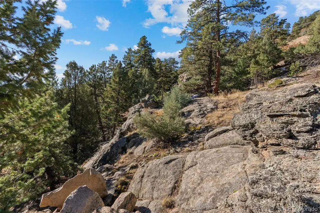 7153 Silverhorn Drive Evergreen CO 80439