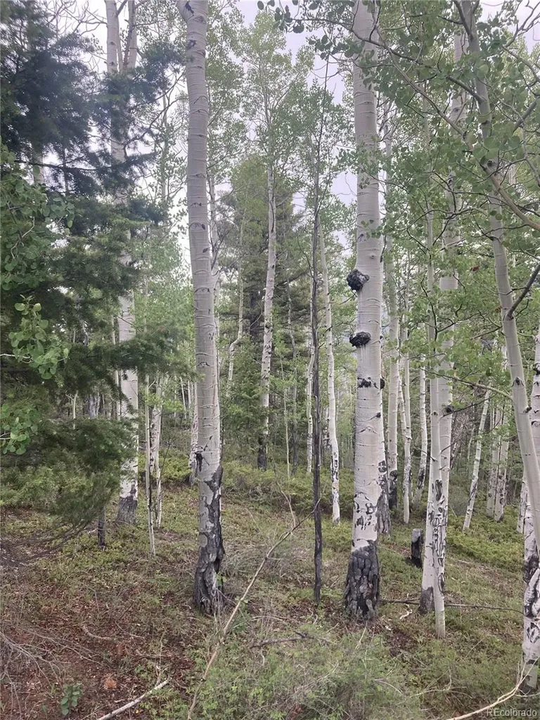 Lot 6858 Starkweather Road San Luis CO 81152