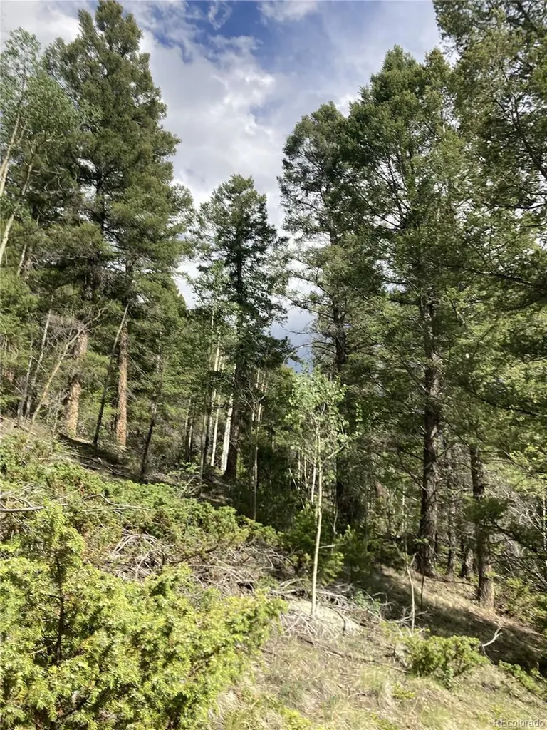 Lot 6858 Starkweather Road San Luis CO 81152