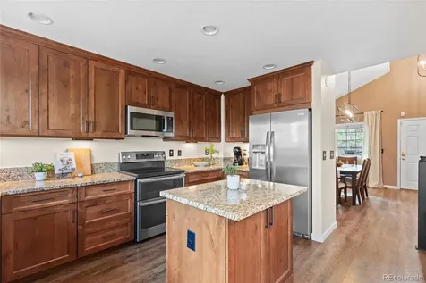 10288 Hadrian Court Parker CO 80134