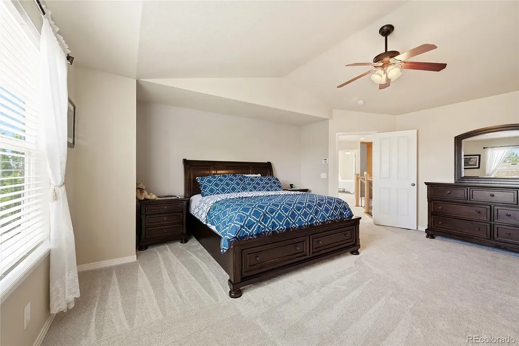 3671 Sunridge Terrace Drive Castle Rock CO 80109
