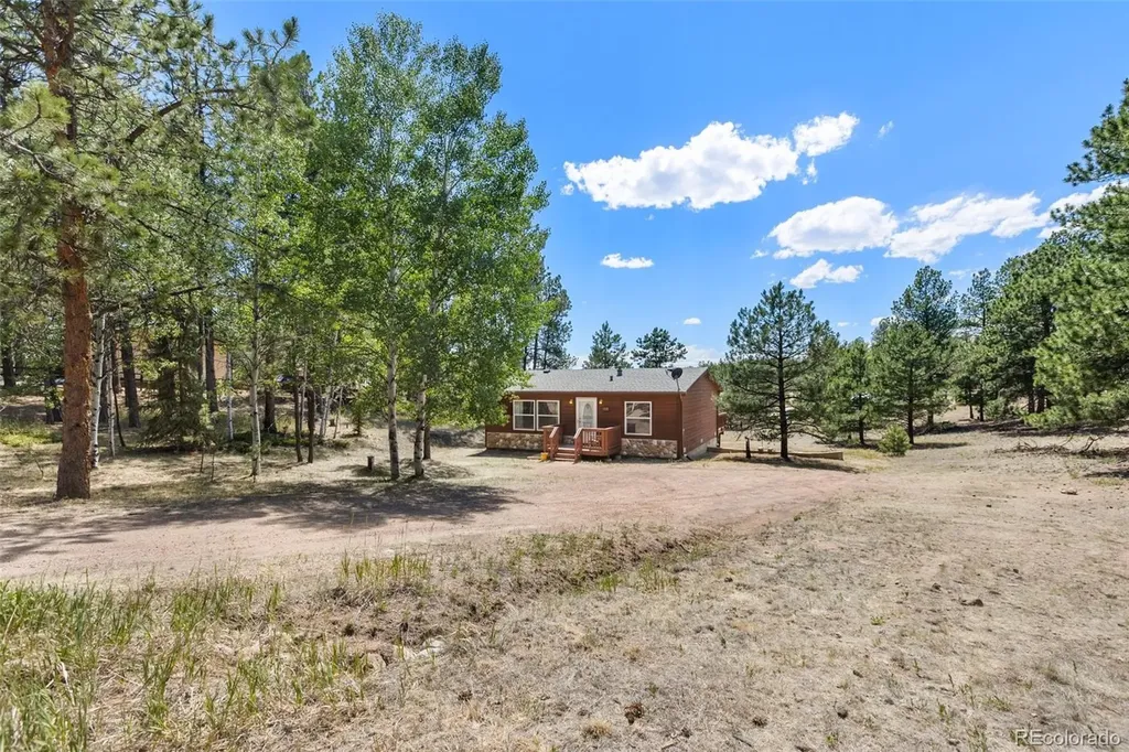 331 Rhyolite Lane Florissant CO 80816
