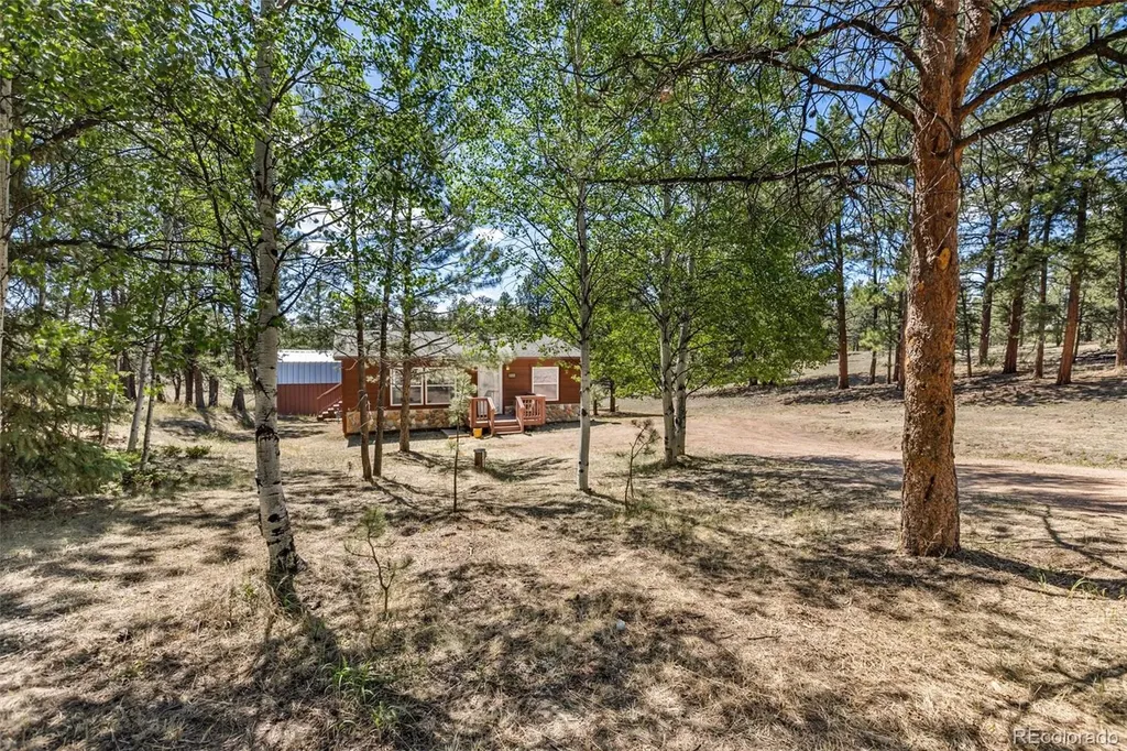 331 Rhyolite Lane Florissant CO 80816