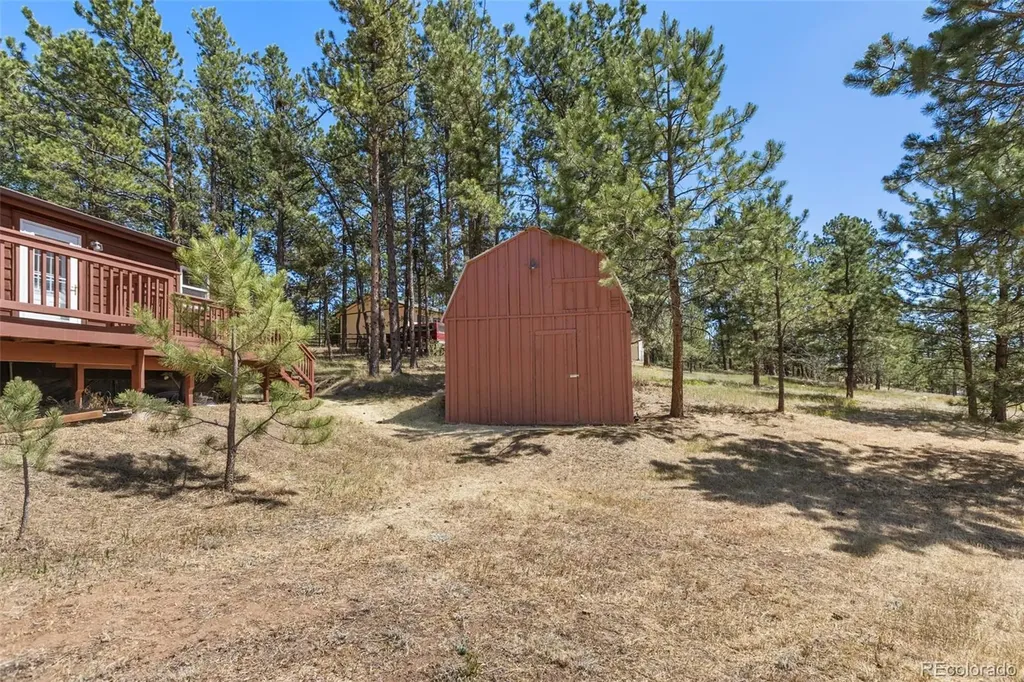 331 Rhyolite Lane Florissant CO 80816