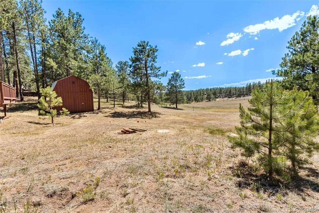 331 Rhyolite Lane Florissant CO 80816