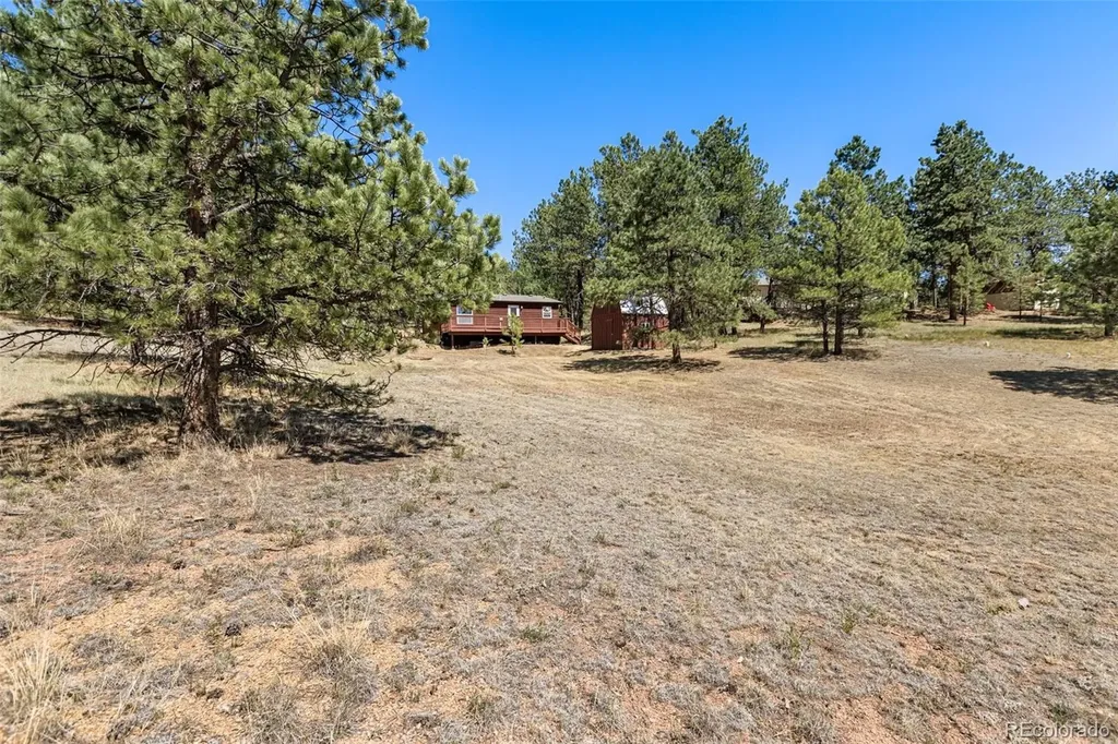 331 Rhyolite Lane Florissant CO 80816