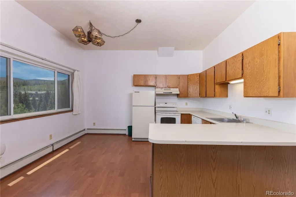 9800 Ryan Gulch Road Silverthorne CO 80498