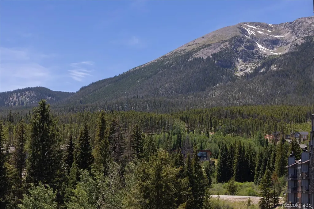 9800 Ryan Gulch Road Silverthorne CO 80498