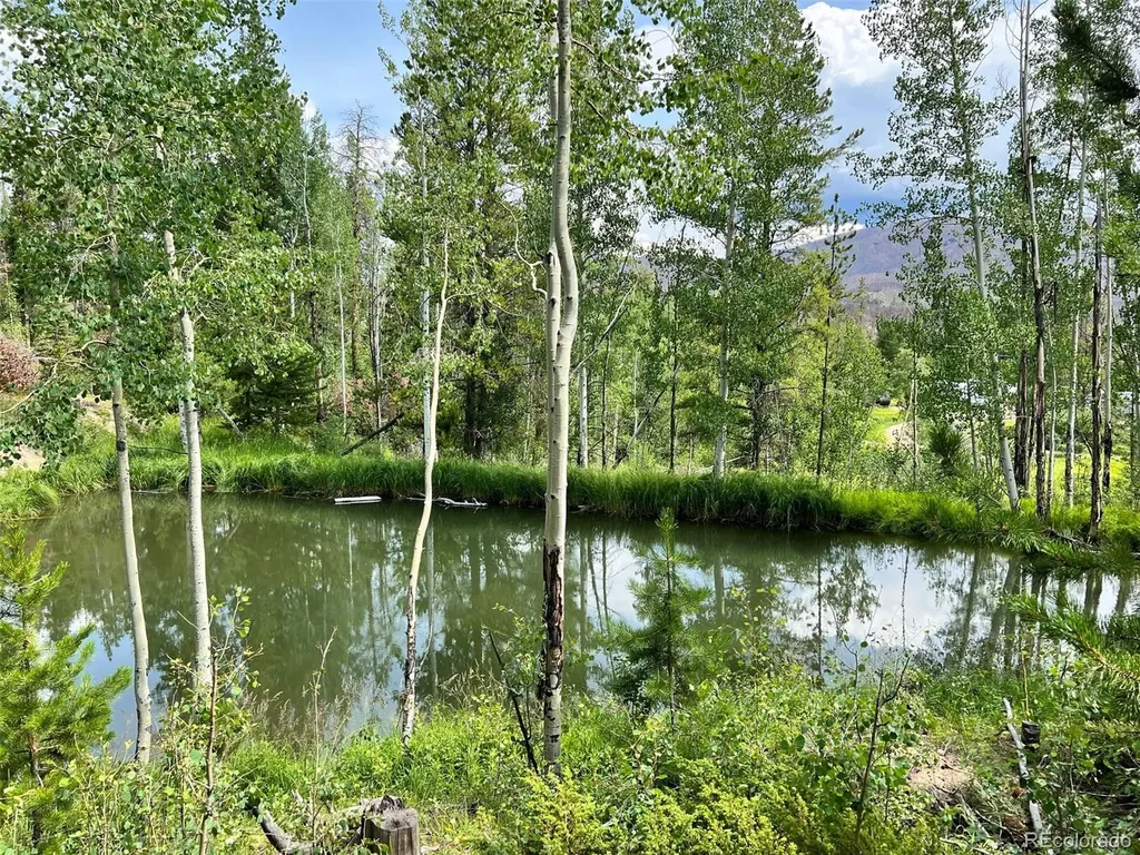 134 Mad Moose Lane Grand Lake CO 80447