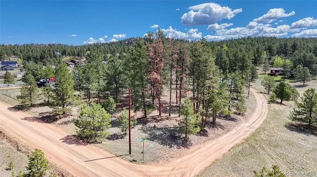 212 Obsidian Drive Florissant CO 80816