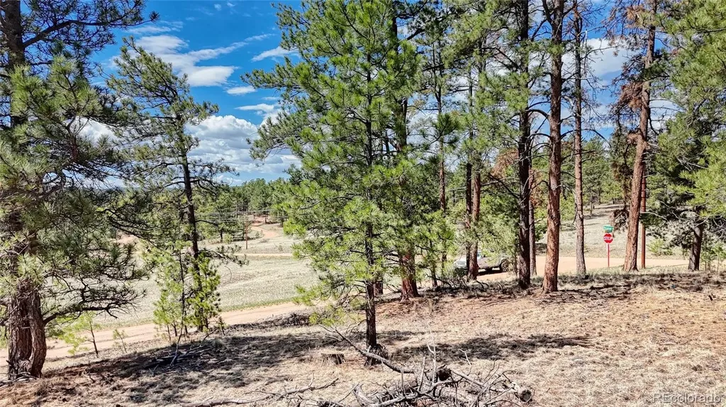 212 Obsidian Drive Florissant CO 80816