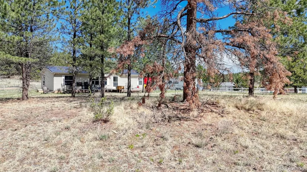 212 Obsidian Drive Florissant CO 80816