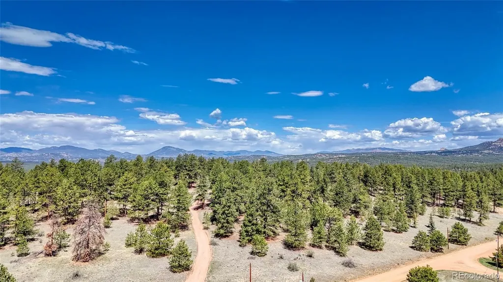 212 Obsidian Drive Florissant CO 80816