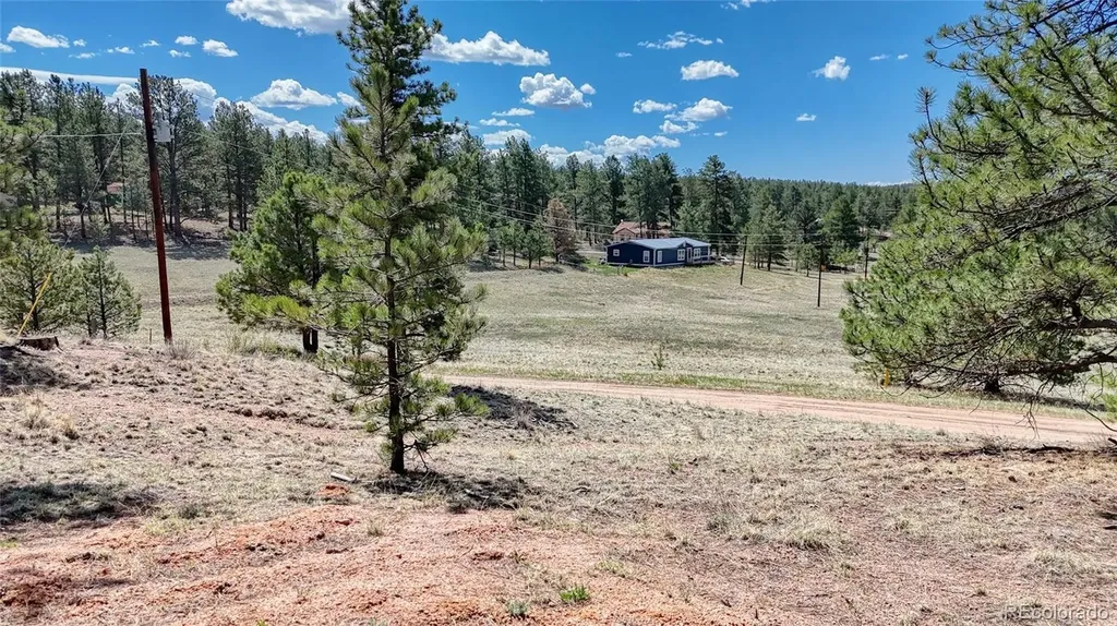 212 Obsidian Drive Florissant CO 80816