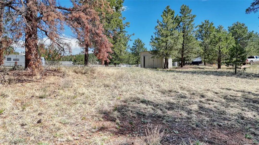212 Obsidian Drive Florissant CO 80816