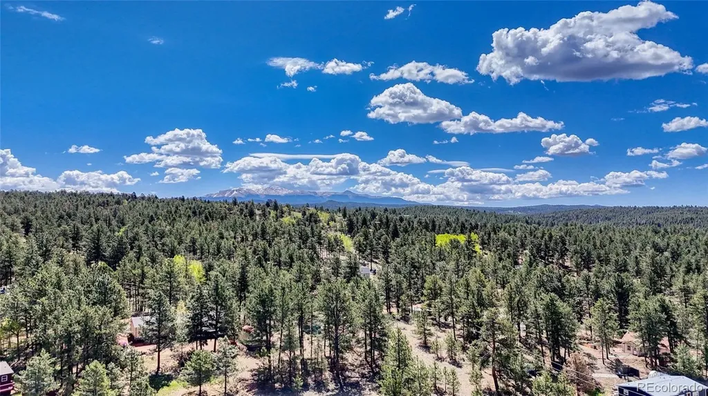 212 Obsidian Drive Florissant CO 80816