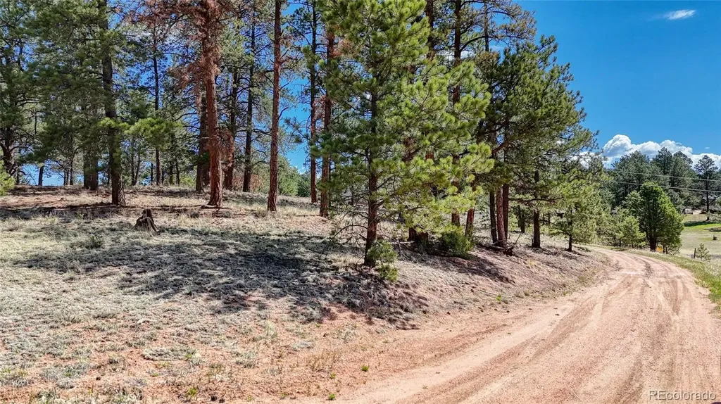 212 Obsidian Drive Florissant CO 80816