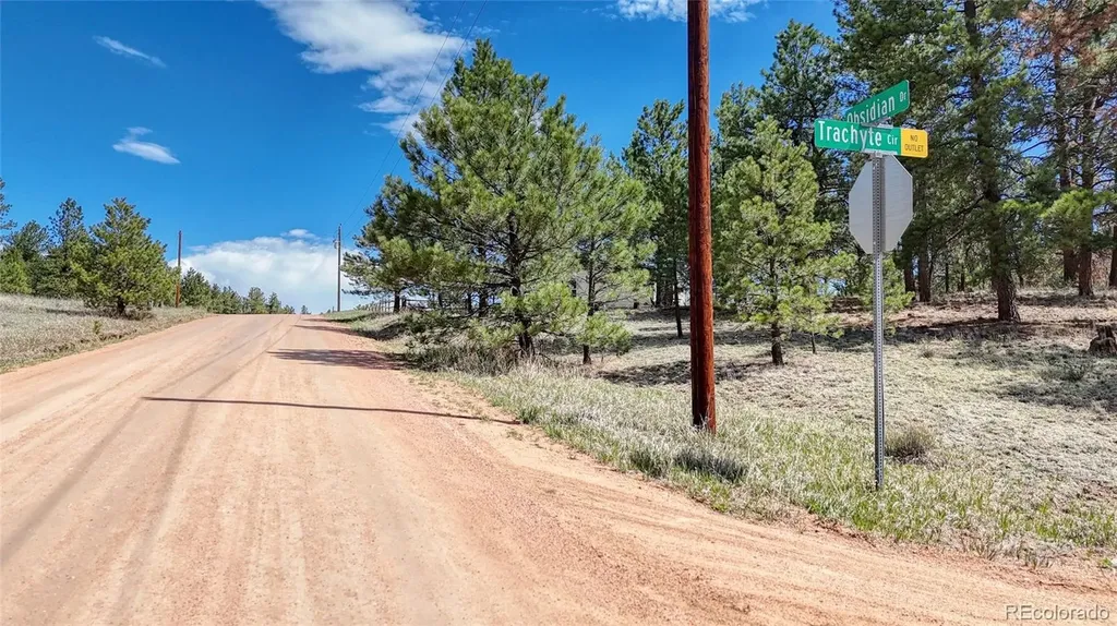 212 Obsidian Drive Florissant CO 80816