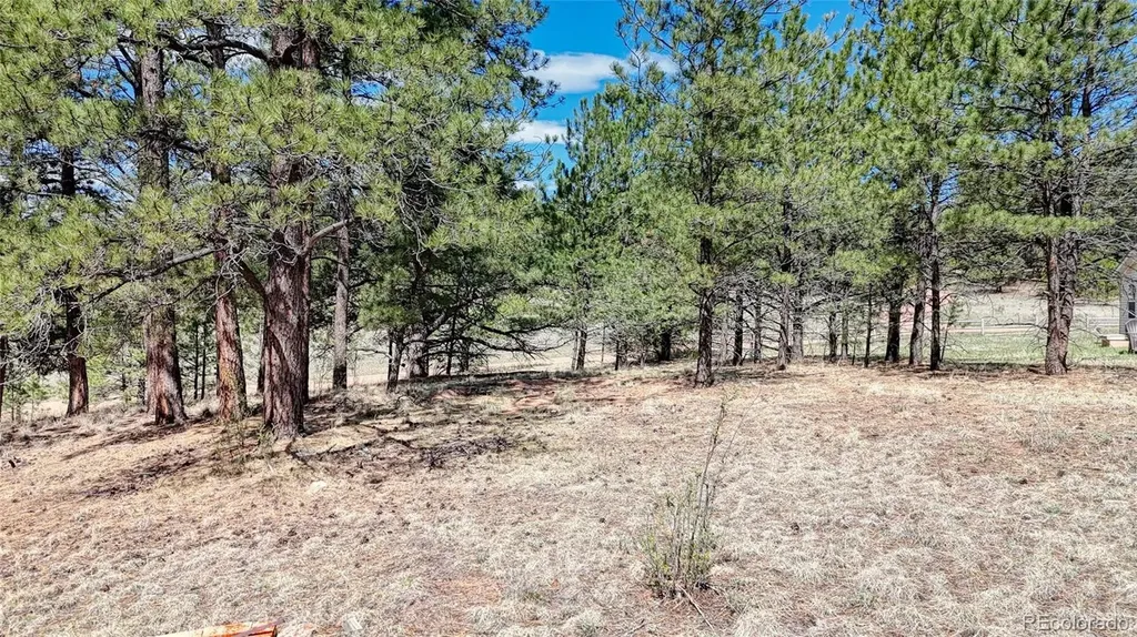 212 Obsidian Drive Florissant CO 80816
