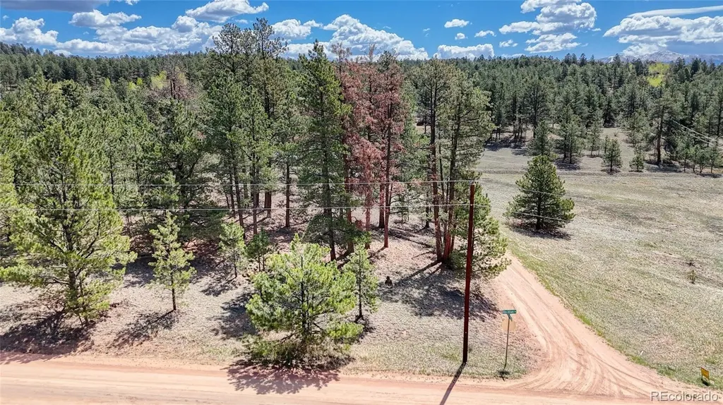 212 Obsidian Drive Florissant CO 80816