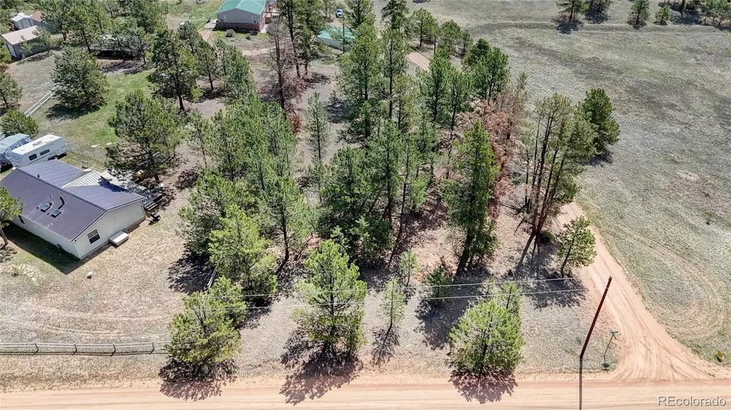 212 Obsidian Drive Florissant CO 80816