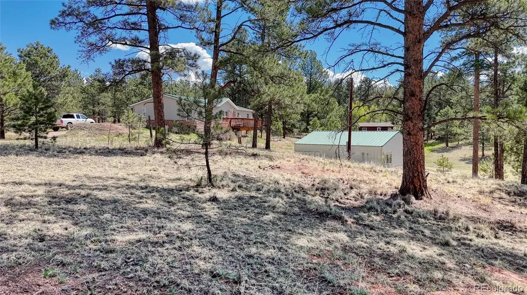 212 Obsidian Drive Florissant CO 80816