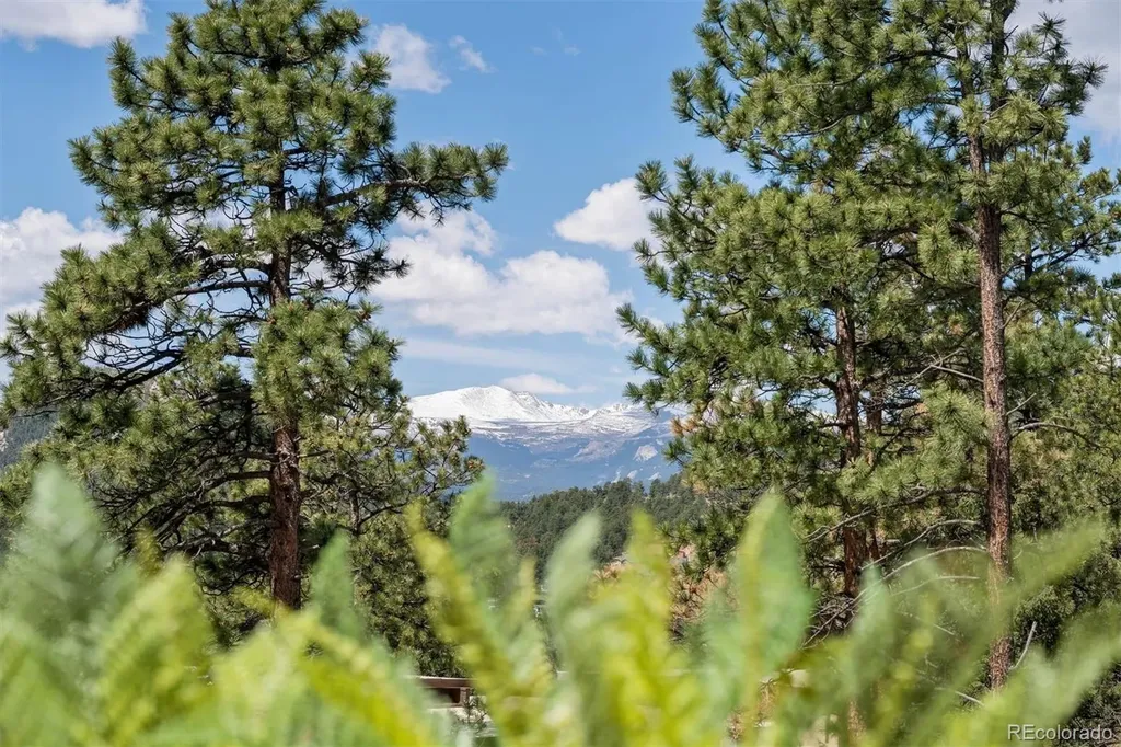 29033 Wild Rose Drive Evergreen CO 80439