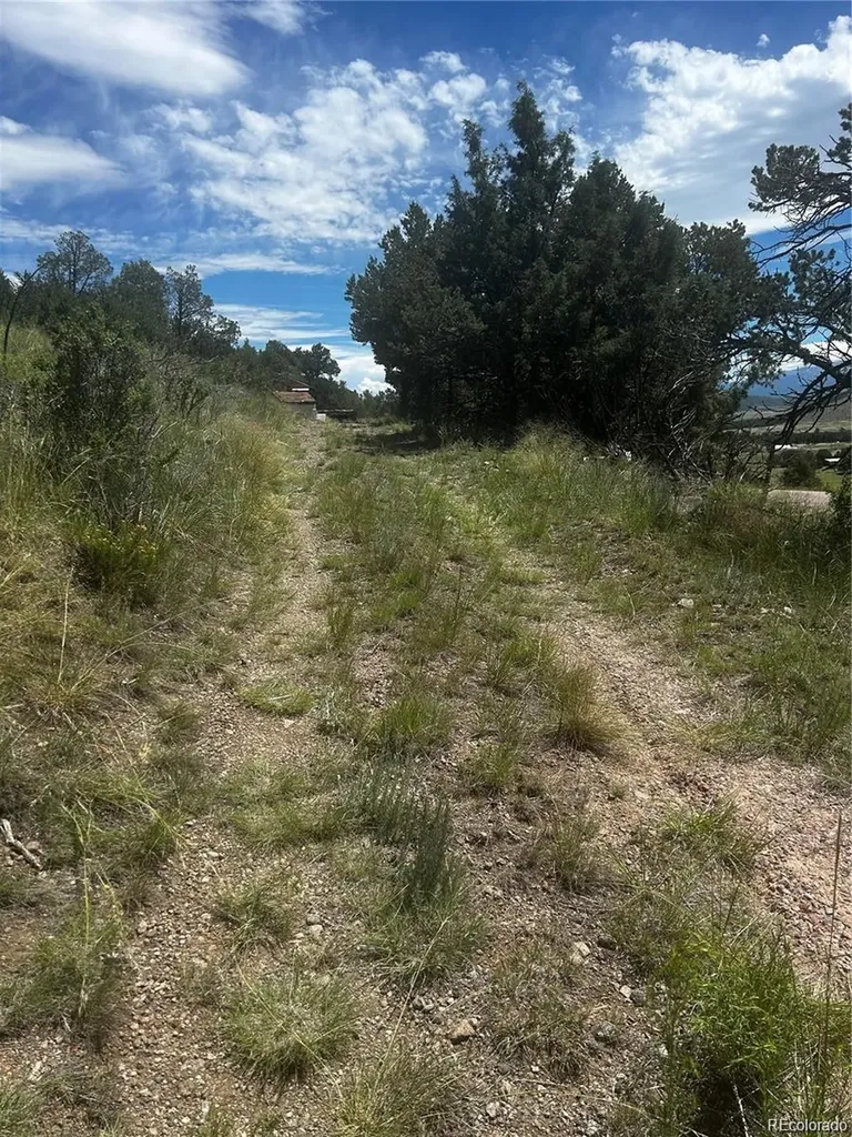 1880 Copper Gulch Road Cotopaxi CO 81223