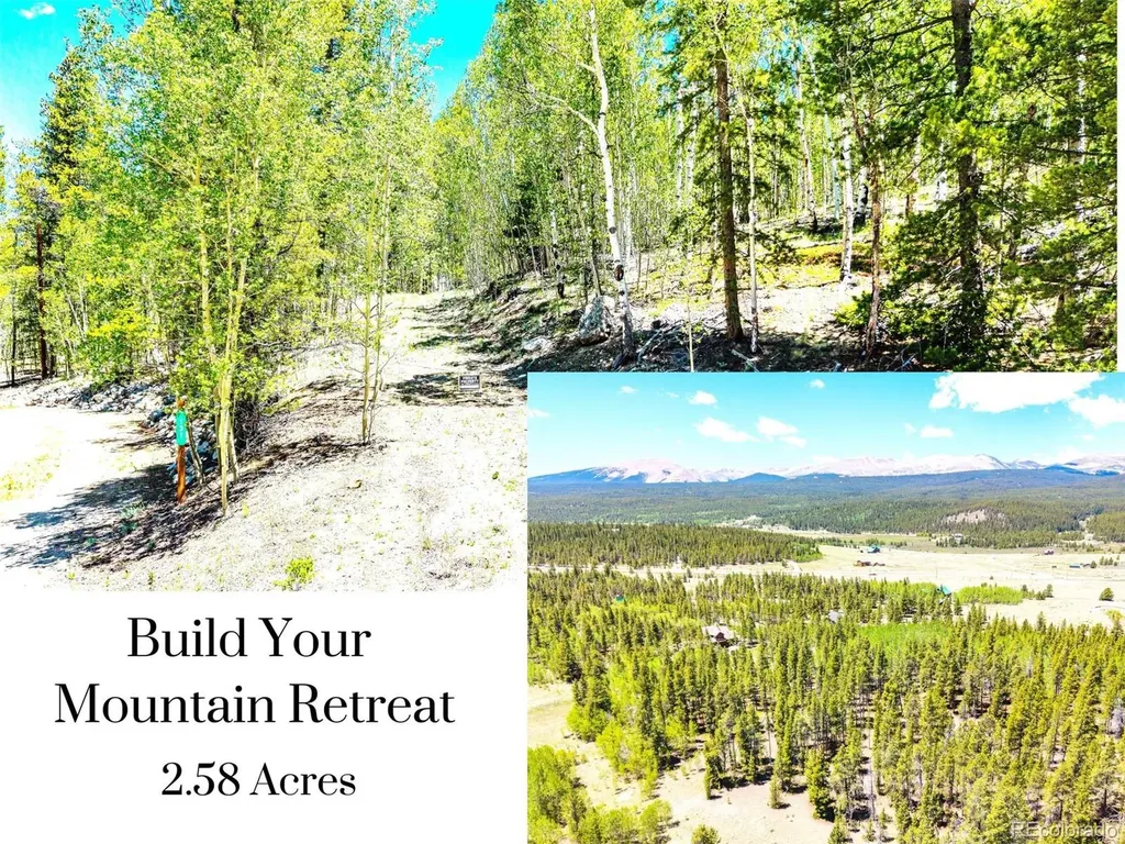 134 Prospect Drive Alma CO 80420