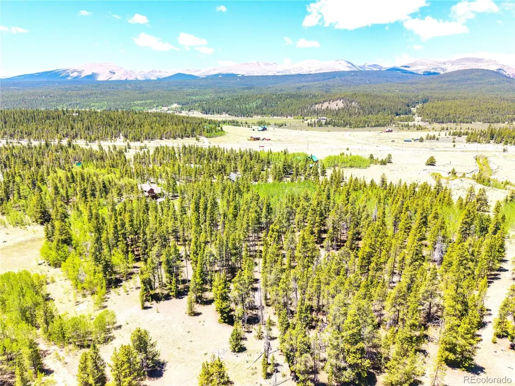 134 Prospect Drive Alma CO 80420