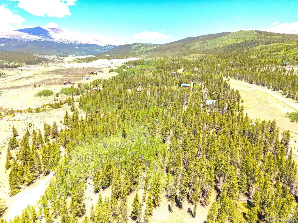 134 Prospect Drive Alma CO 80420