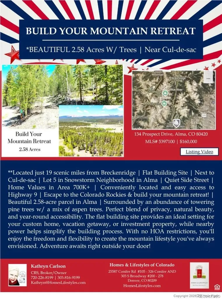 134 Prospect Drive Alma CO 80420