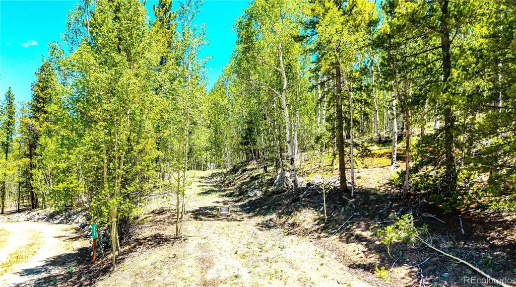 134 Prospect Drive Alma CO 80420