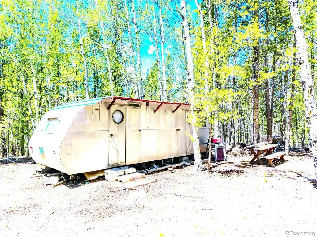 134 Prospect Drive Alma CO 80420