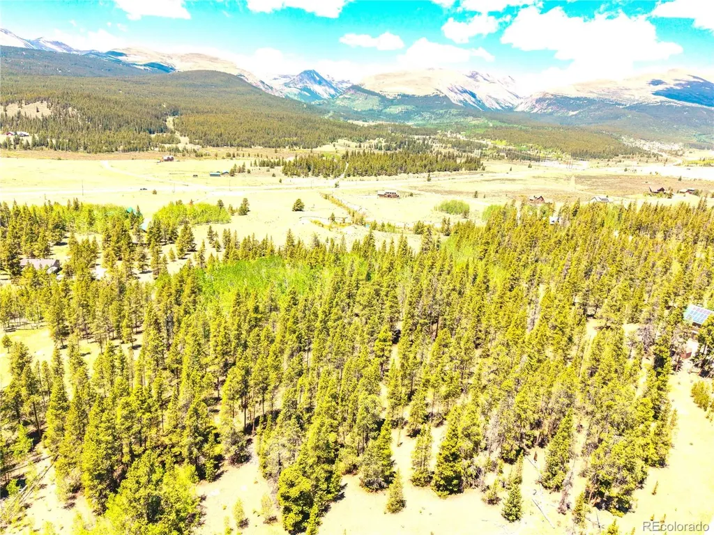 134 Prospect Drive Alma CO 80420