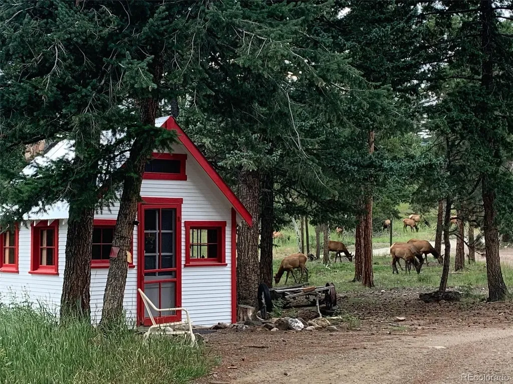 255 Raccoon Circle Evergreen CO 80439