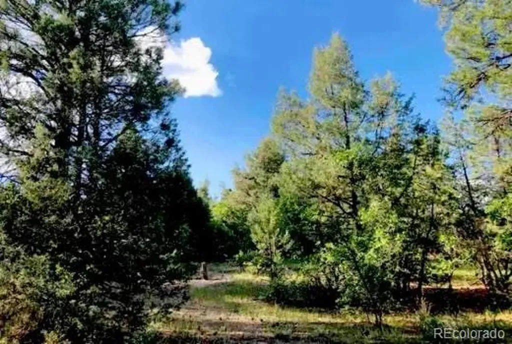131 Retreat Court Pagosa Springs CO 81147