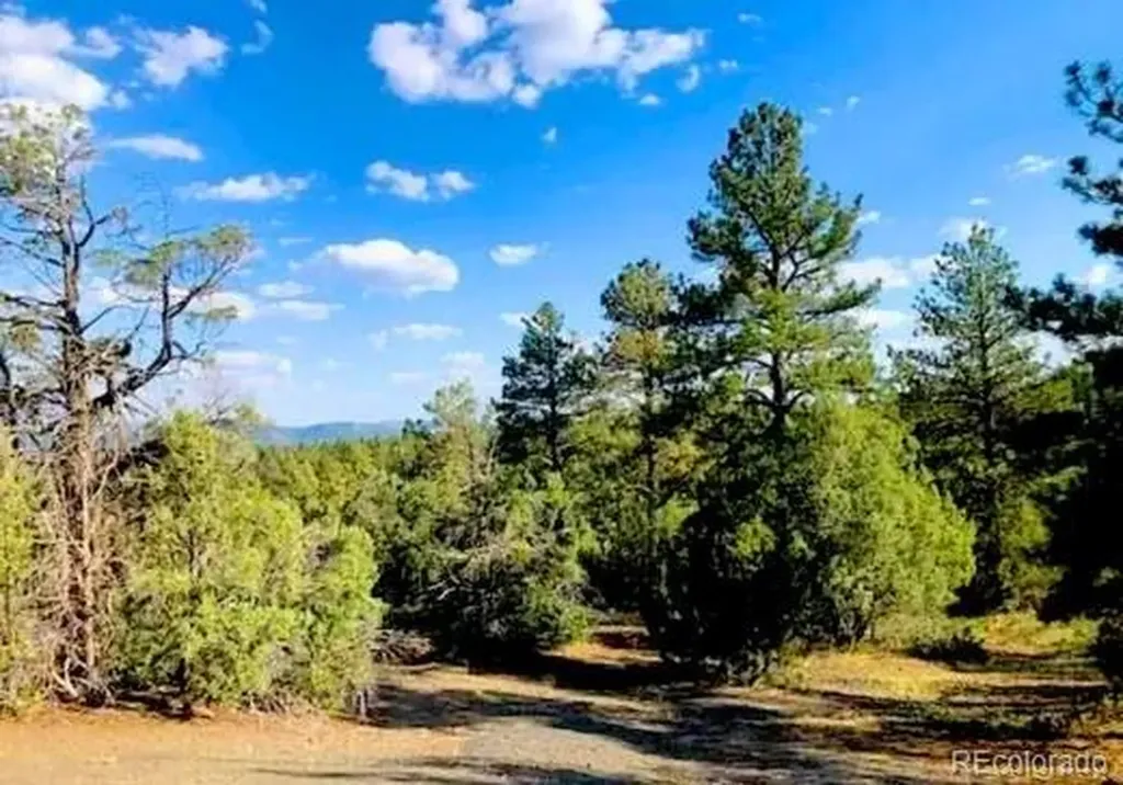 131 Retreat Court Pagosa Springs CO 81147