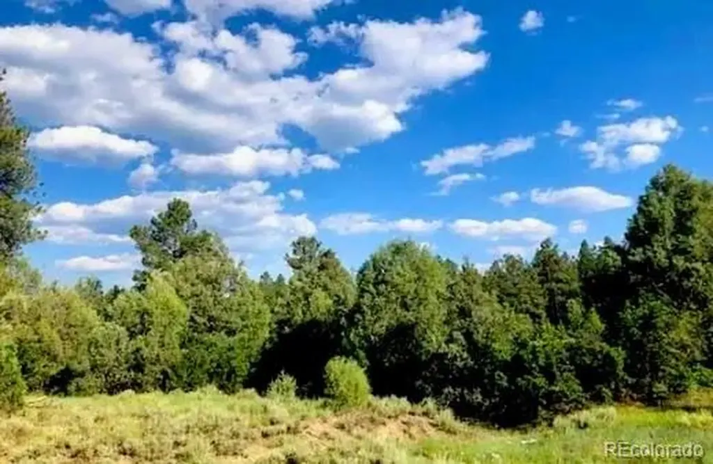 131 Retreat Court Pagosa Springs CO 81147