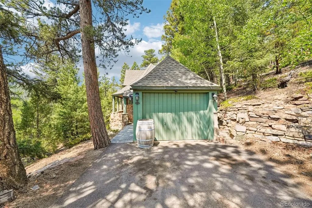 11793 Braun Way Conifer CO 80433