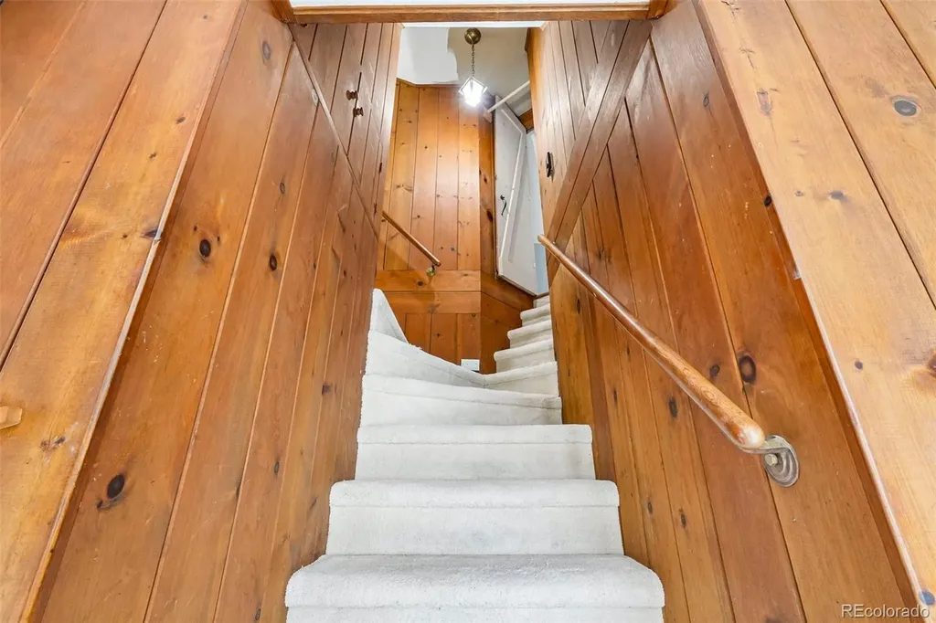 11793 Braun Way Conifer CO 80433