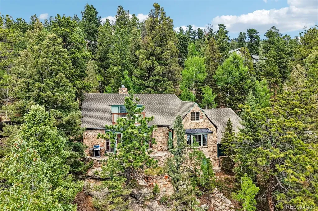 11793 Braun Way Conifer CO 80433