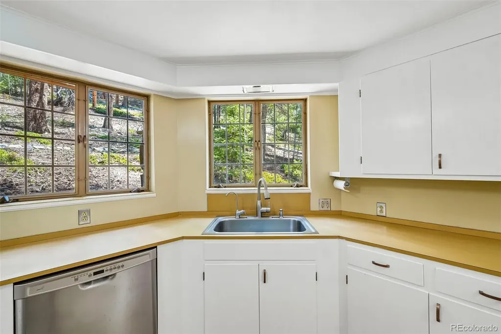 11793 Braun Way Conifer CO 80433